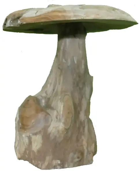 Artikelbild 2 des Artikels “Pilz, Höhe ca. 30 cm. Hergestellt aus Teakholz Wurzel (Plantage). Modell S ist 30cm Höhe und Durchmesser 30cm - 5 kg. “